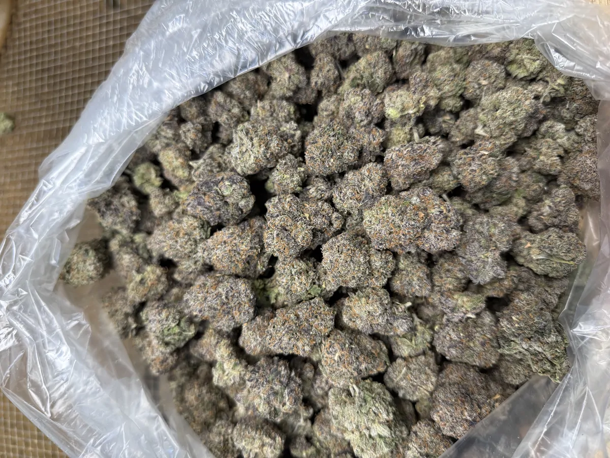 Candy Gas Flower